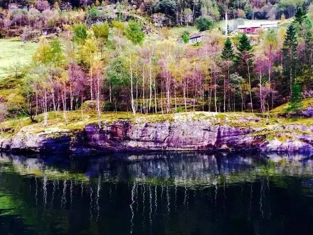 34.webp.jpg 皇冠体育