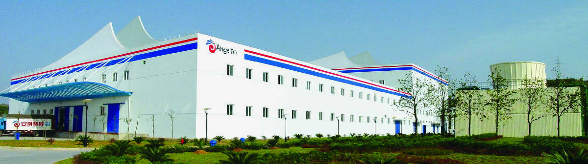 584828141973579008.jpg 皇冠体育